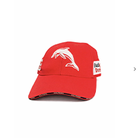 Dolphins 2026 Media cap